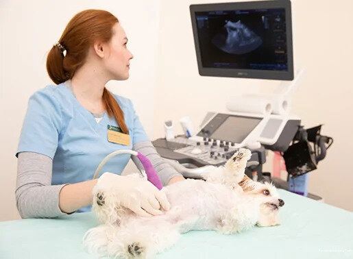 clinic general image