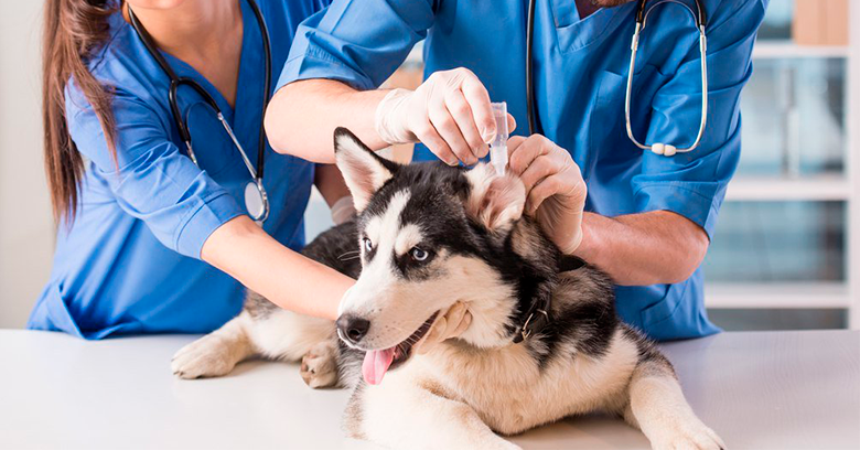 clinic general image