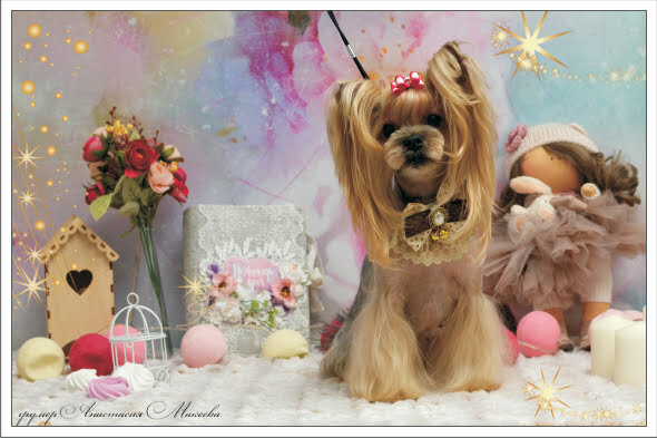 clinic general image