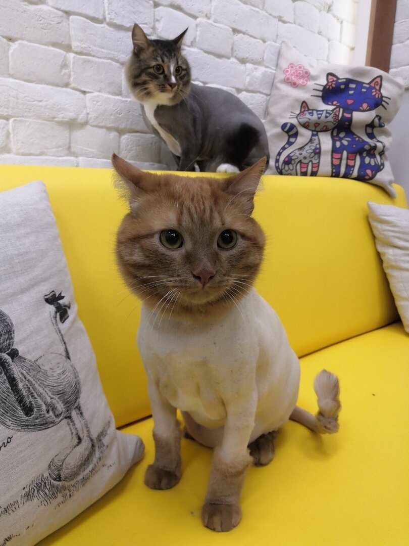 more clinic photos 62866