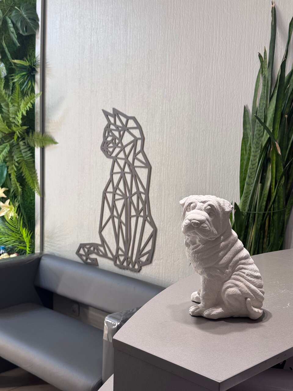 more clinic photos 83503