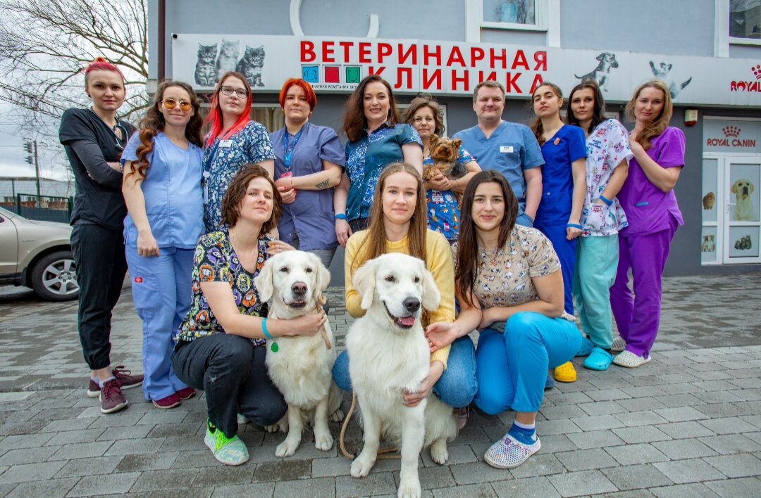 Фото клиники Вет-39
