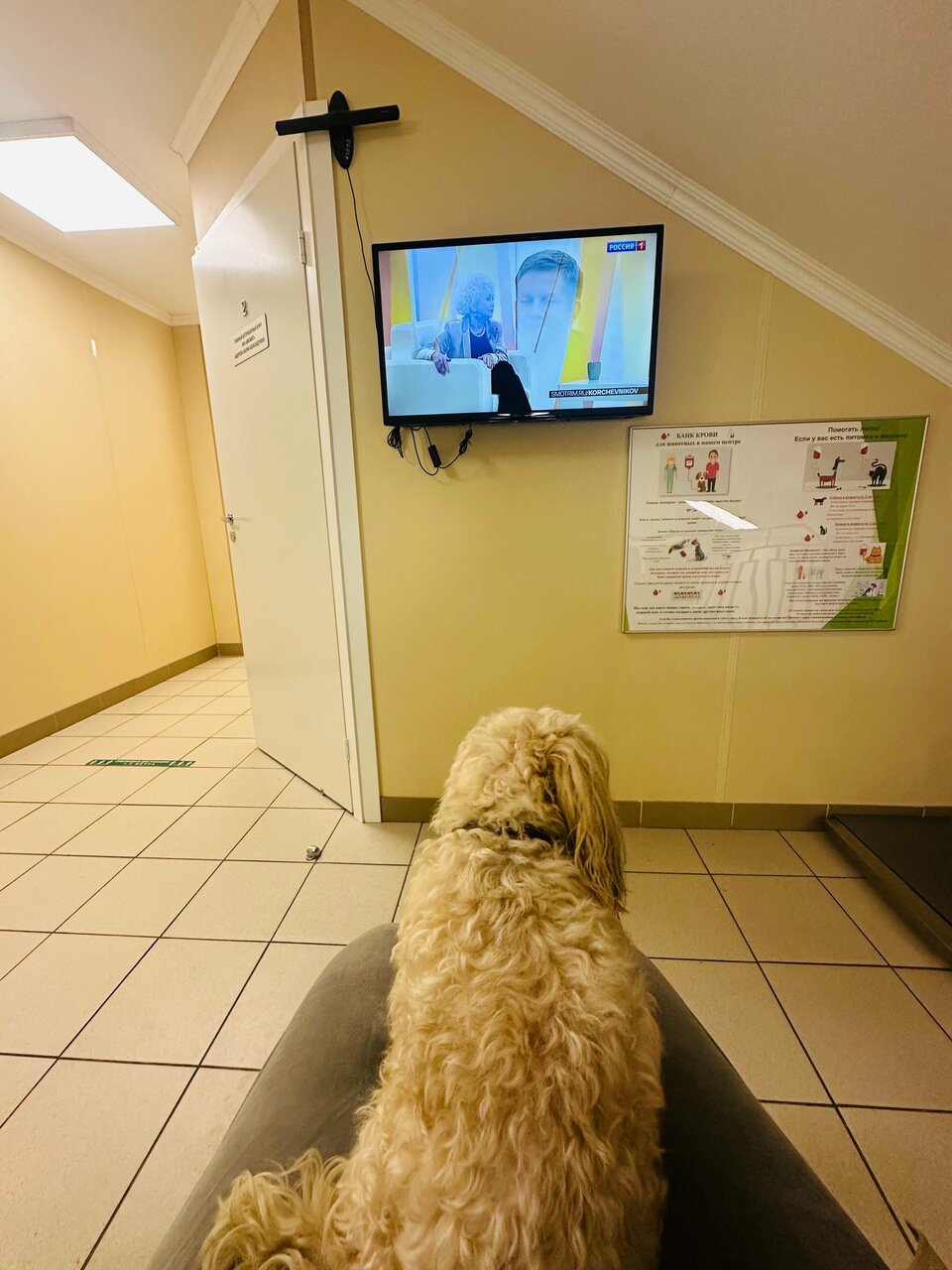 more clinic photos 72359