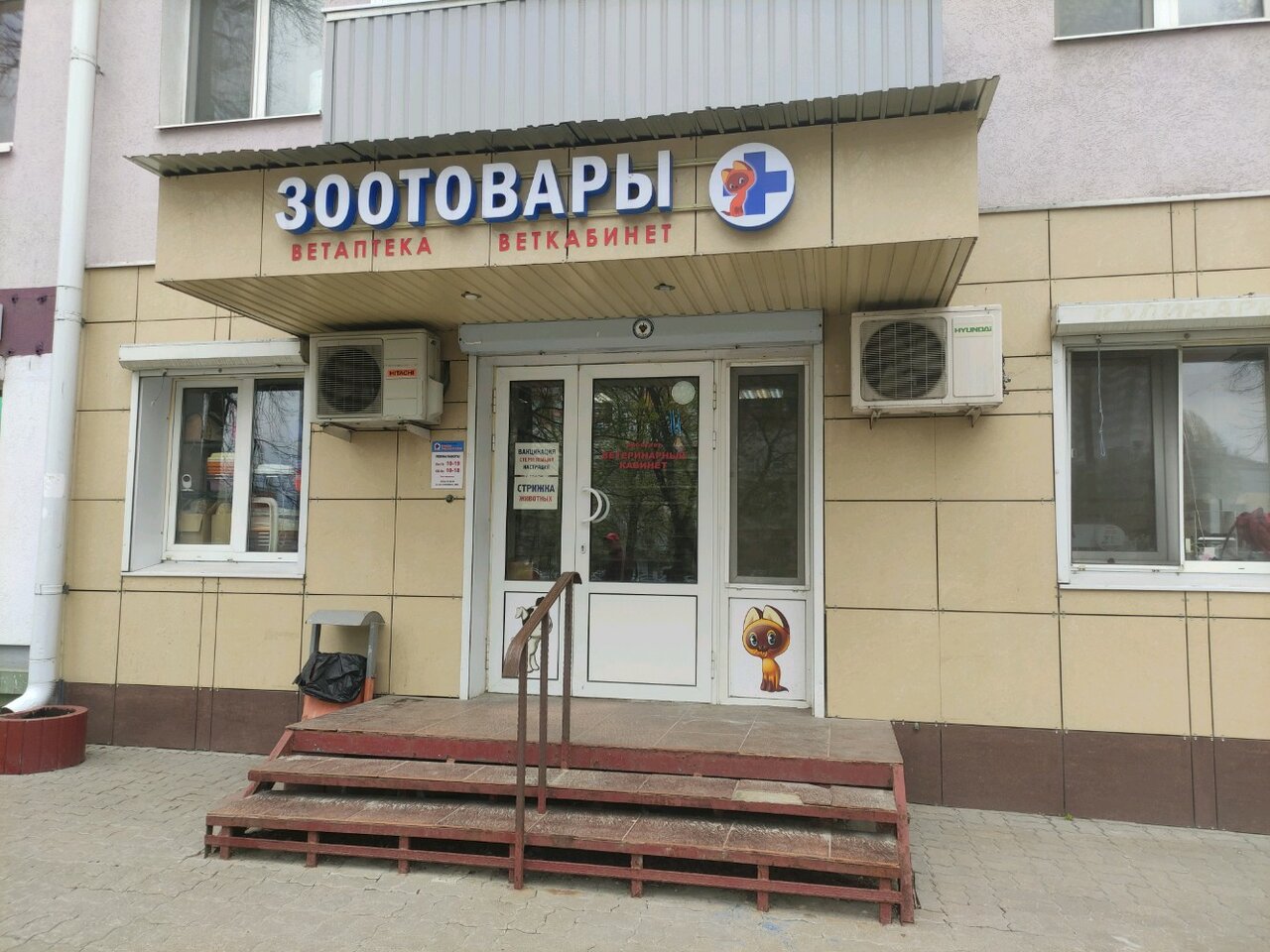 Котенок Гав