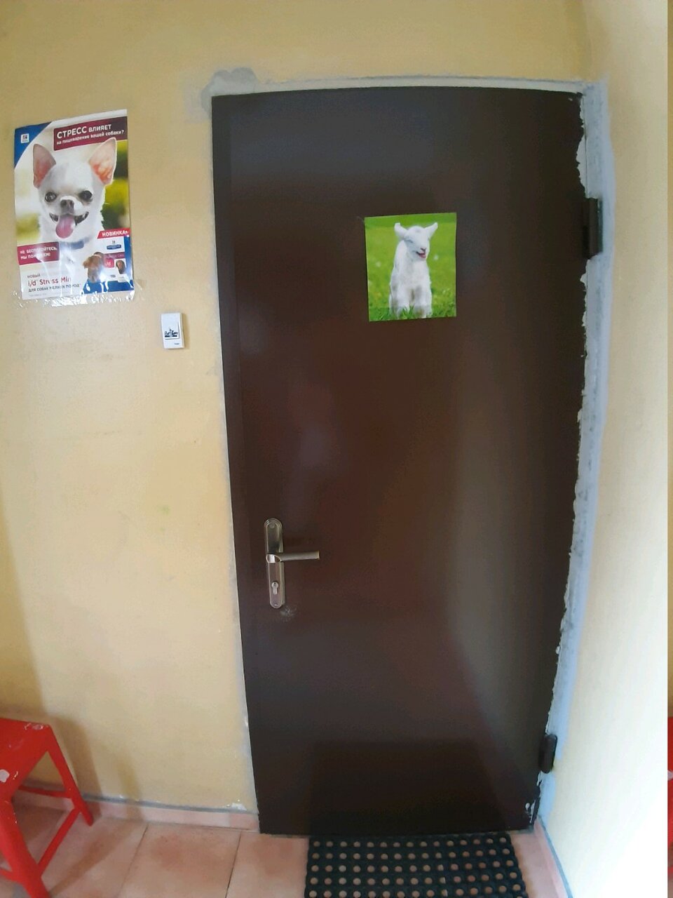 Фото клиники 57973