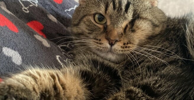 clinic general image