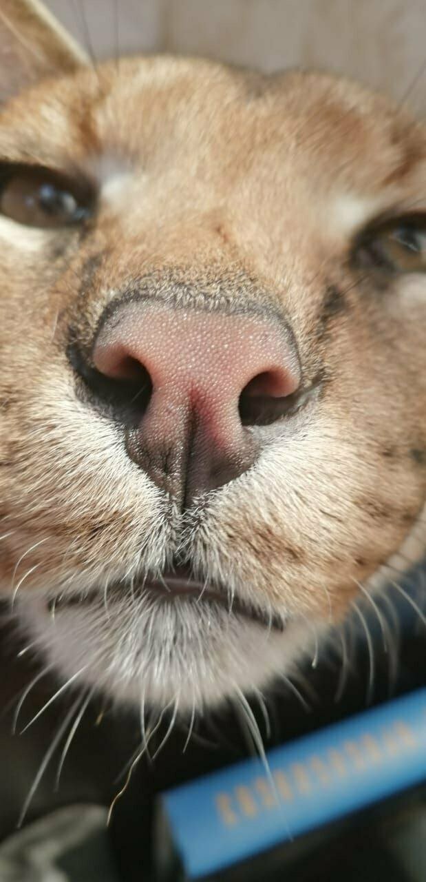 more clinic photos 25845