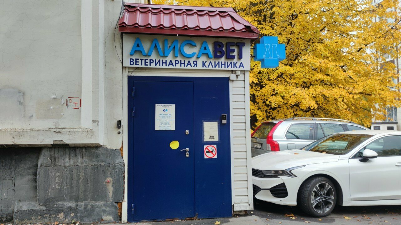 Фото «Алисавет»