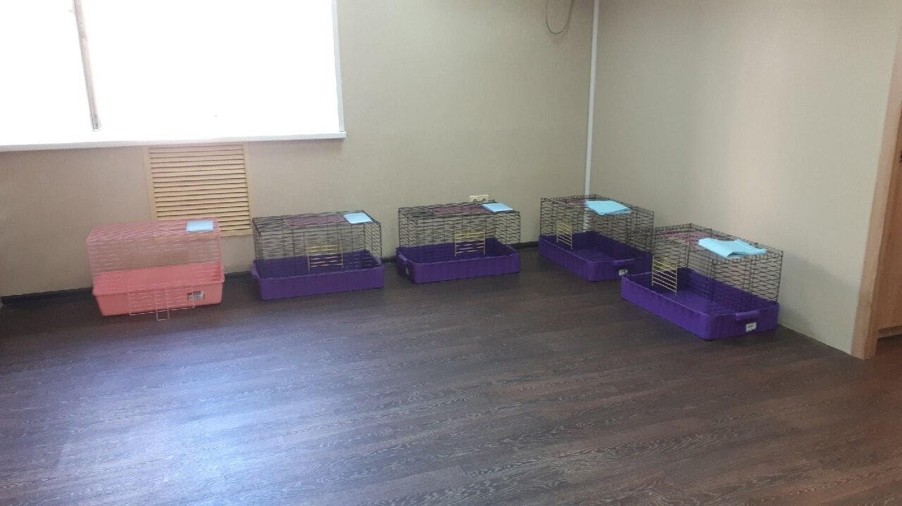 more clinic photos 78292