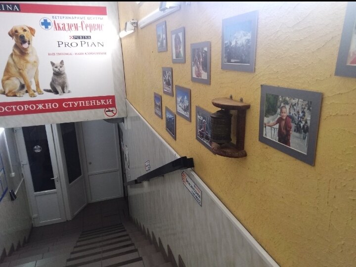 Фото клиники 63050