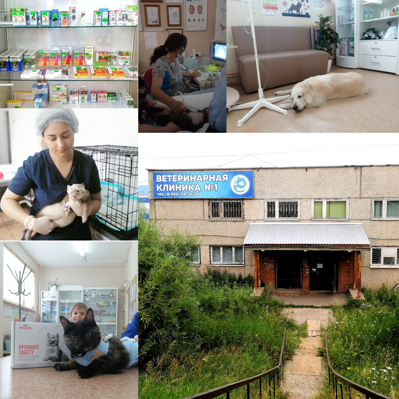 clinic general image