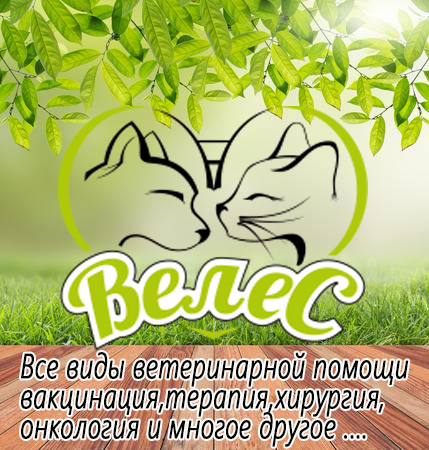 Логотип клиники