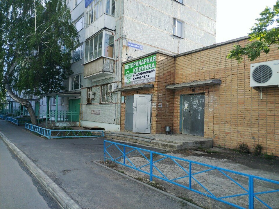 Серебряный Скальпель