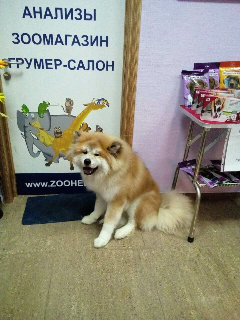 Фото клиники 46732
