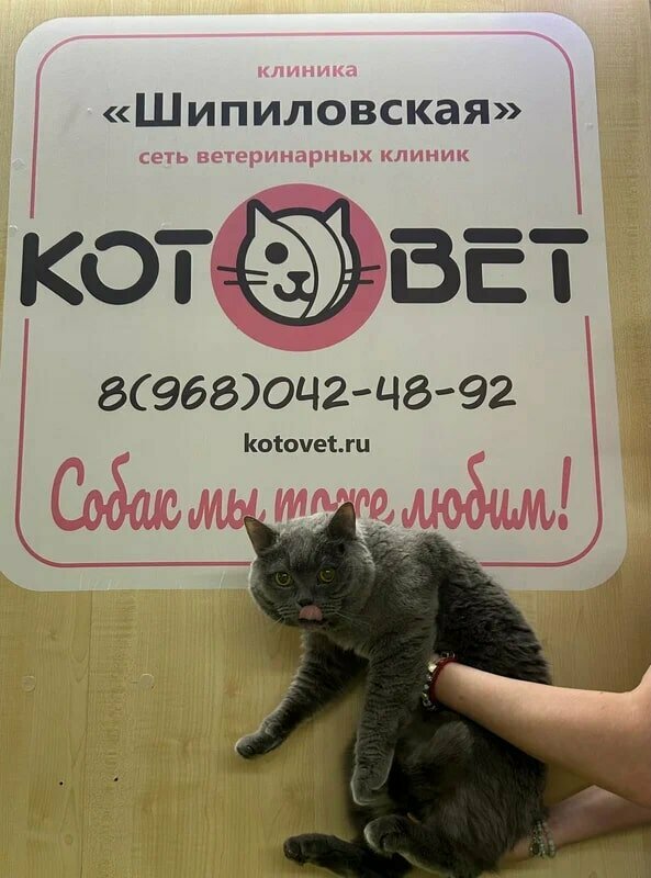 Фото клиники 48582