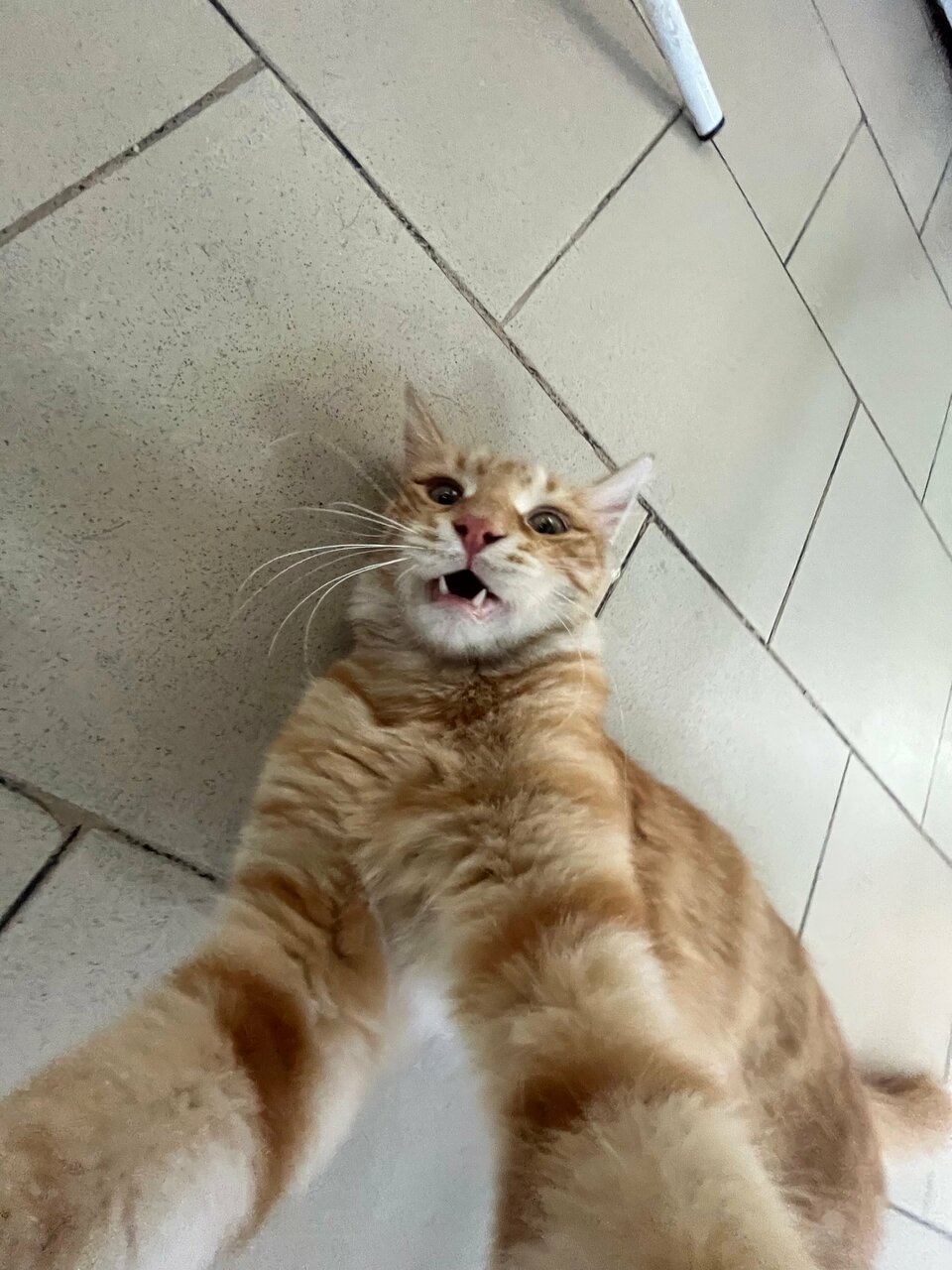 more clinic photos 79061