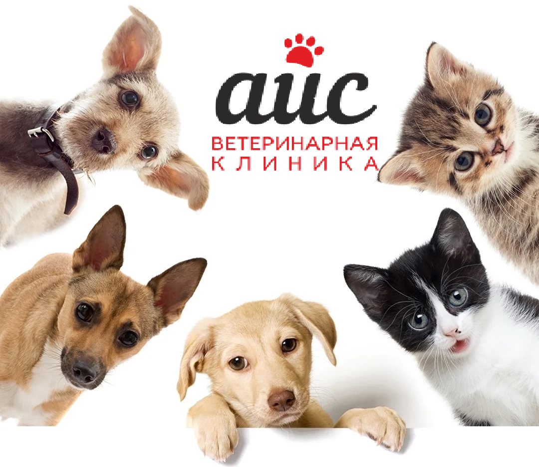 Логотип клиники