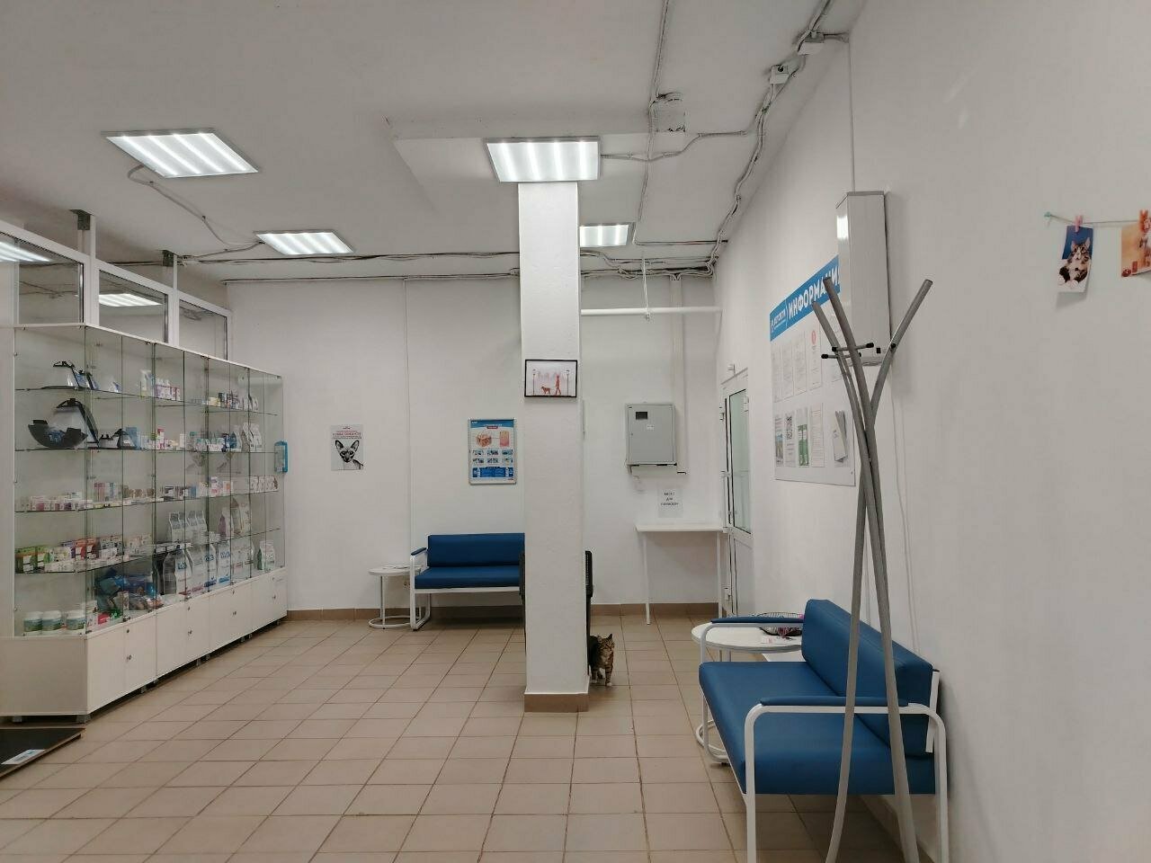 Фото клиники 76373