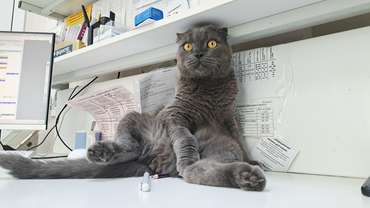 more clinic photos 16478