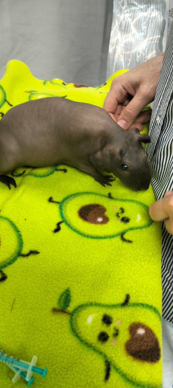 more clinic photos 75545