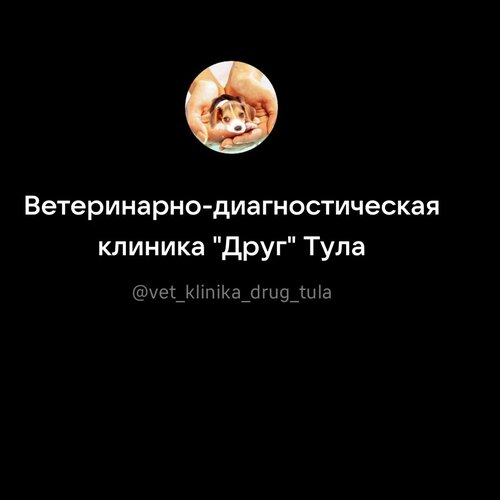 Фото «Друг»