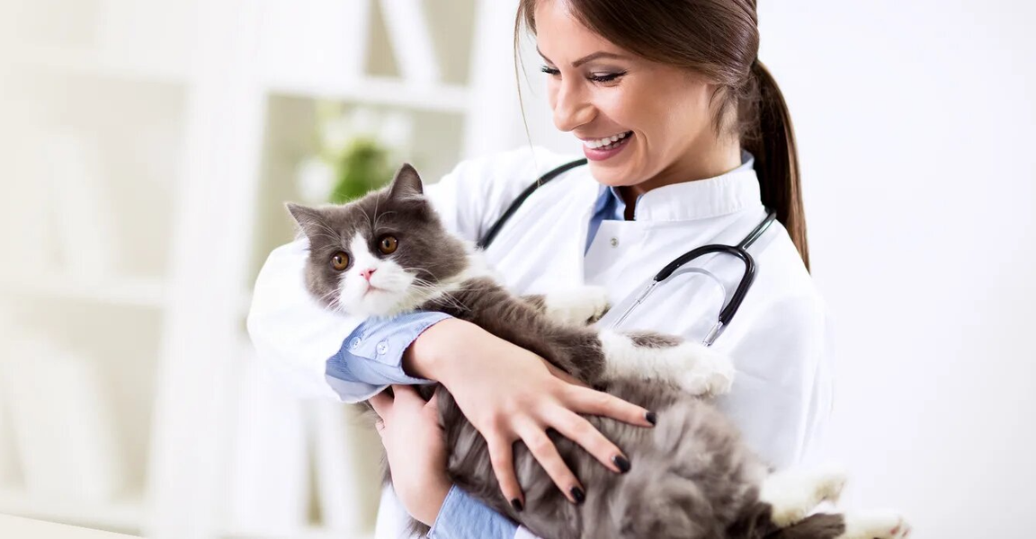 clinic general image