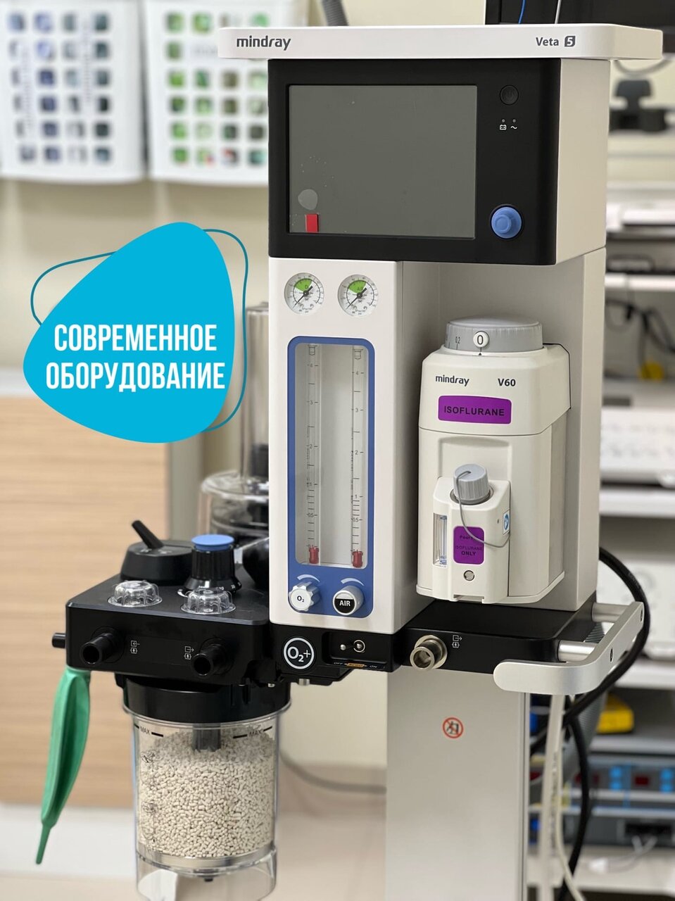 Ещё фото клиники 72321