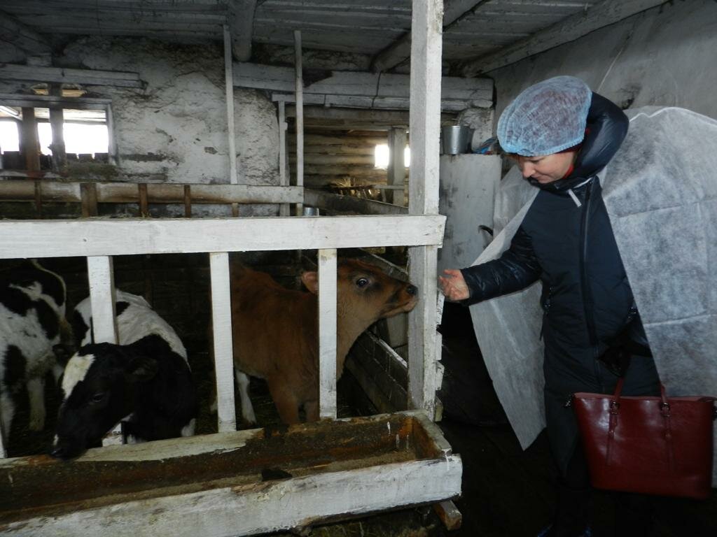 Фото клиники ГБУ Мишкинская районная станция по борьбе с болезнями животных