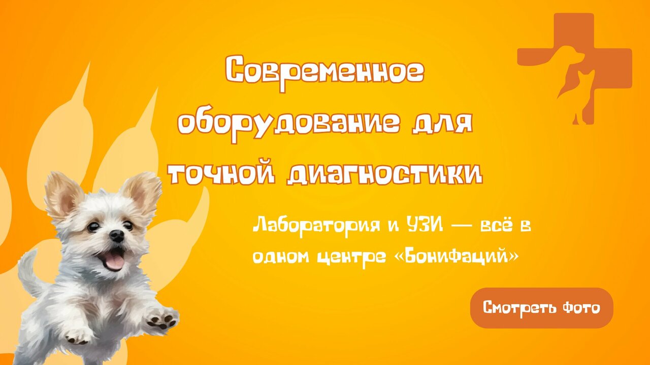 Фото клиники 11355