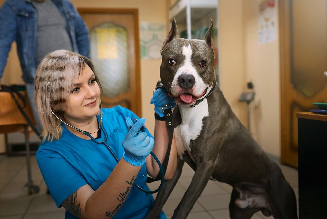 Зооветцентр