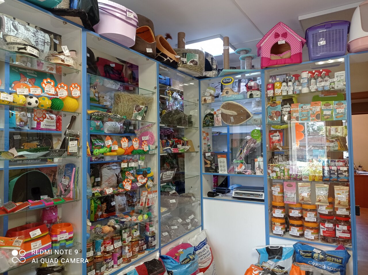 У Матроскина