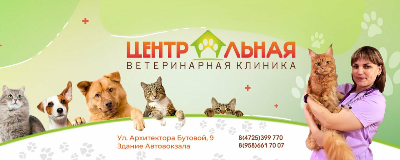 Центральная ветеринарная клиника