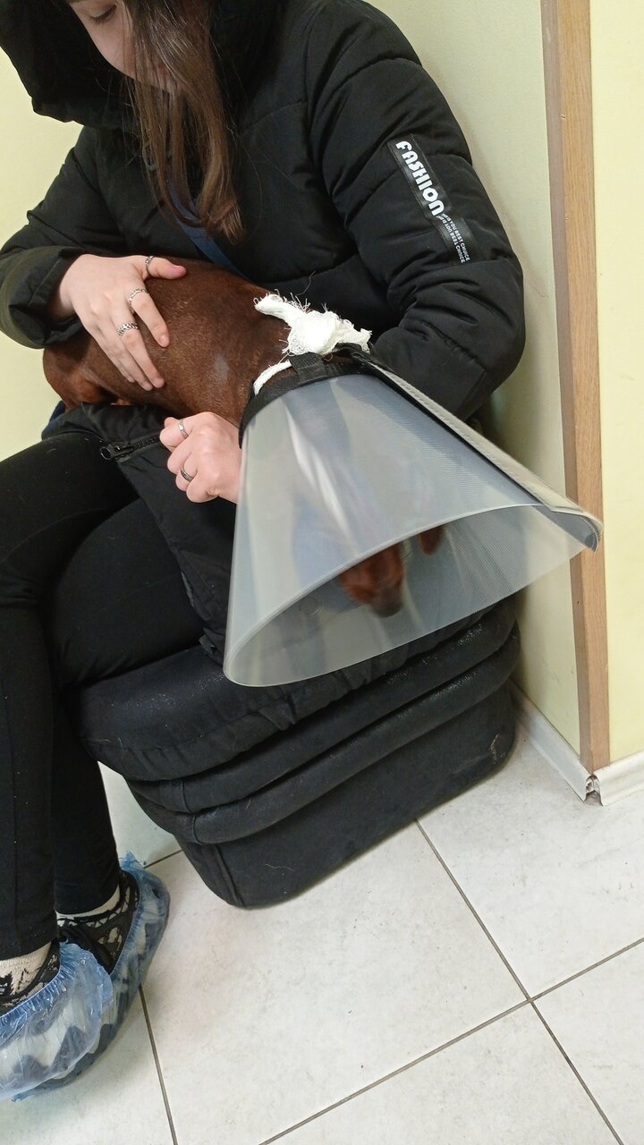 more clinic photos 8552