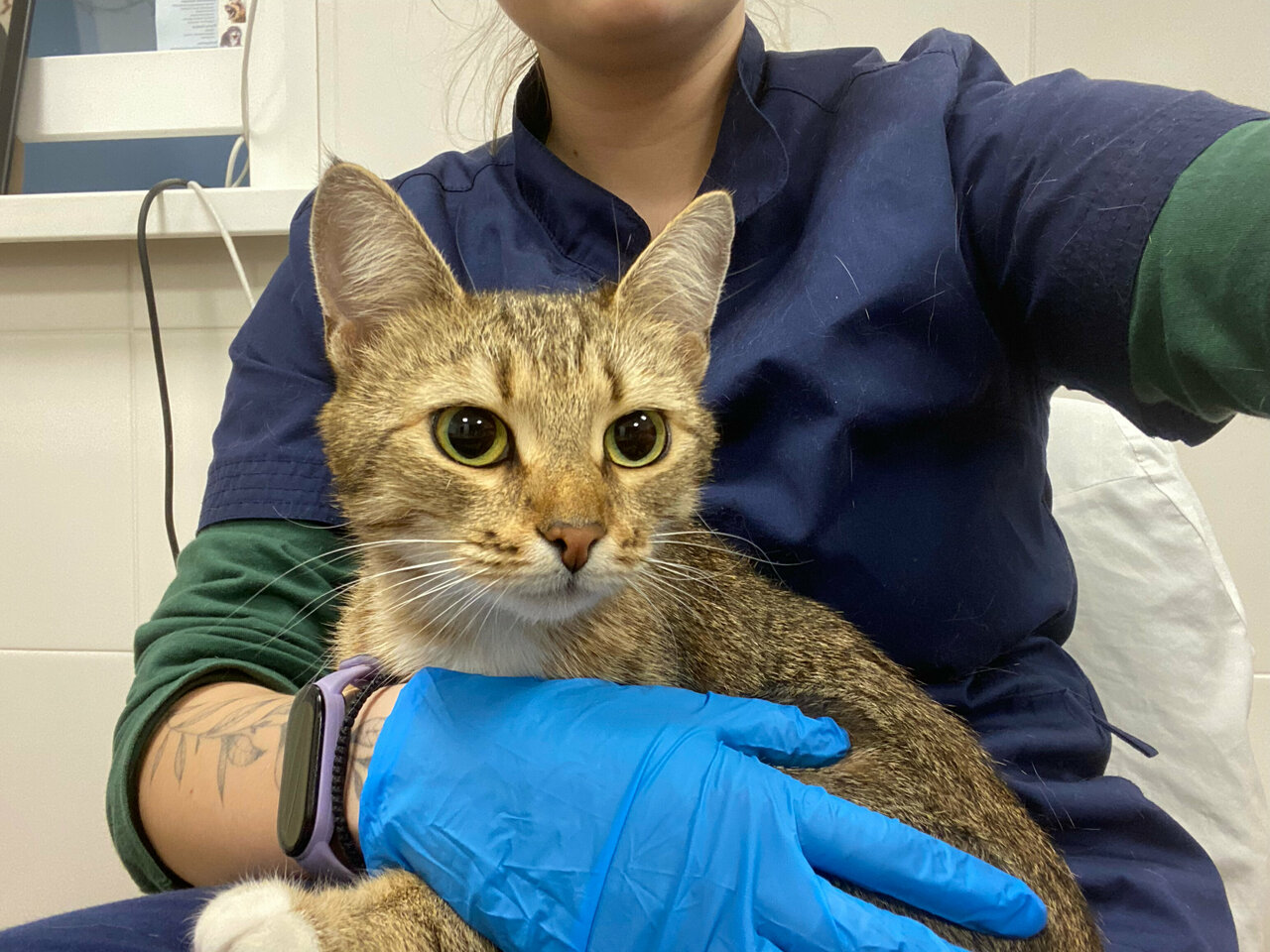 Селивановская районная станция по борьбе с болезнями животных