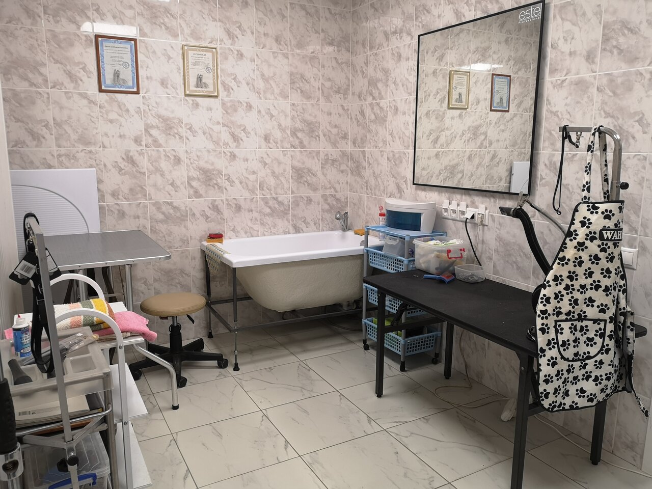 more clinic photos 10019