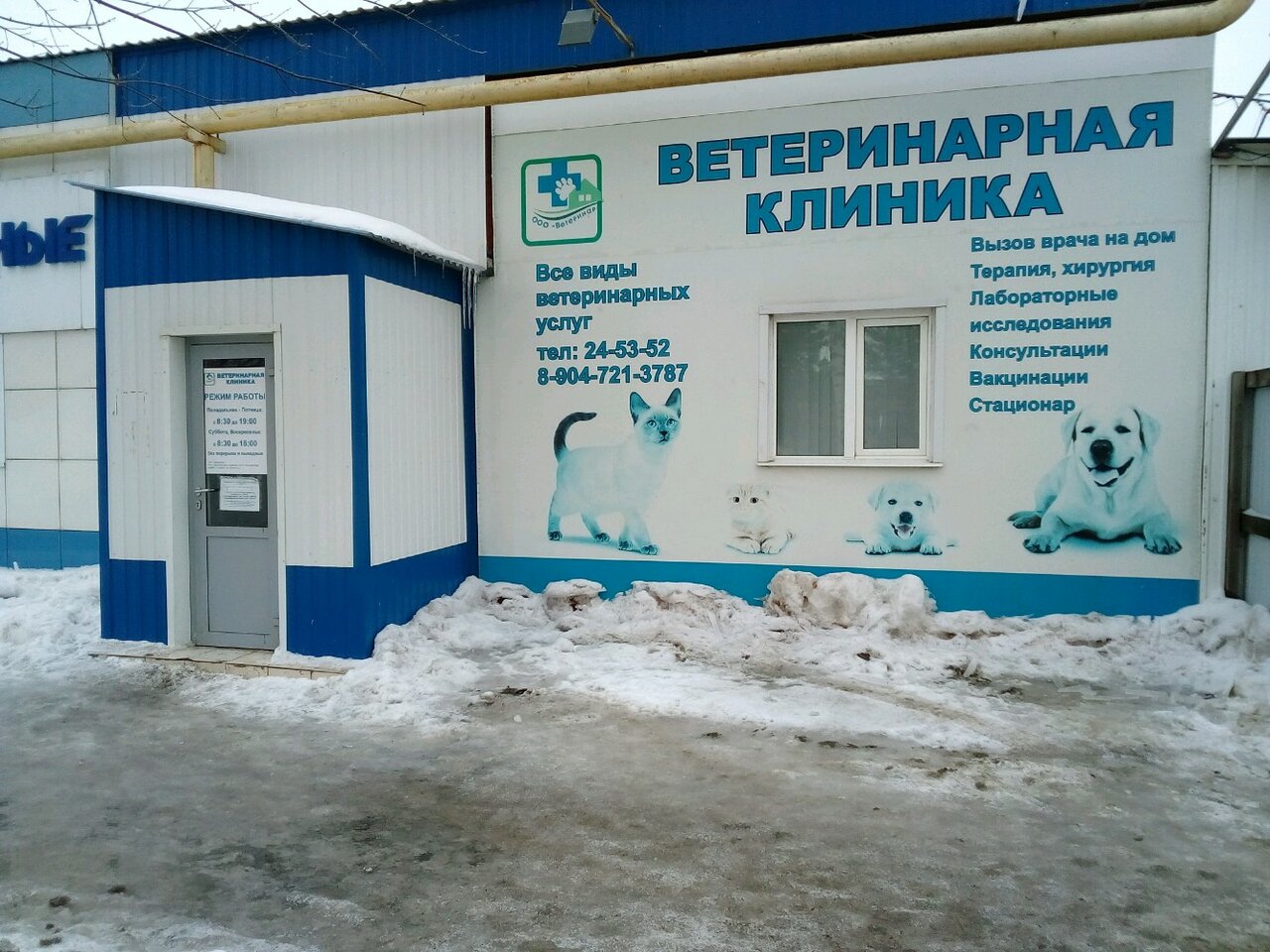 Фото «Ветеринар»