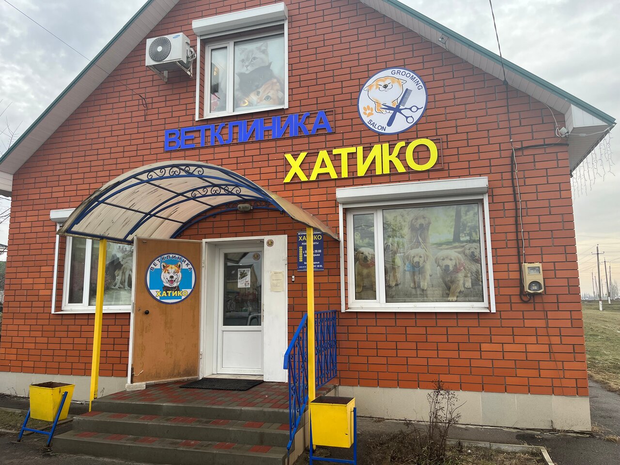 Фото клиники Хатико