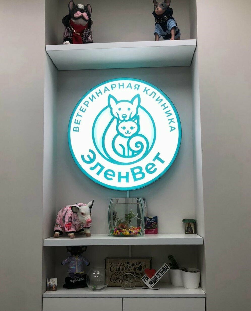 more clinic photos 83737