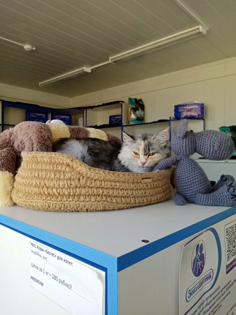 more clinic photos 40909