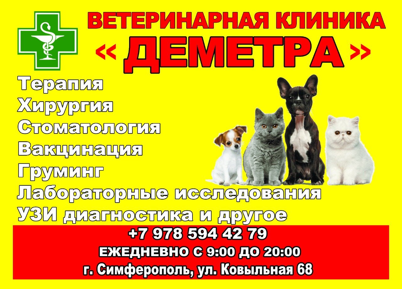 Логотип клиники