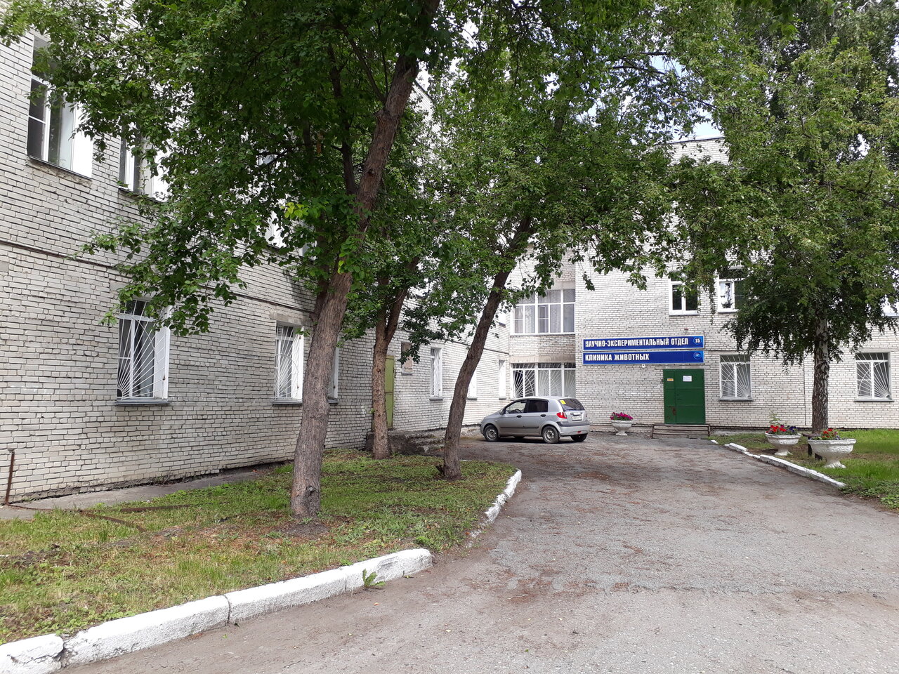 Клиника для животных ФГБУ РНЦ ВТО им. академика Г.А. Илизарова