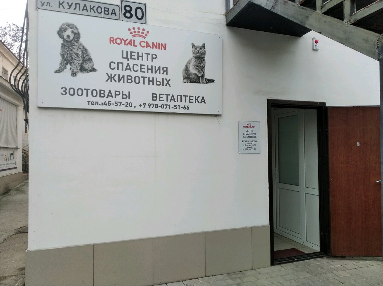 Центр спасения животных