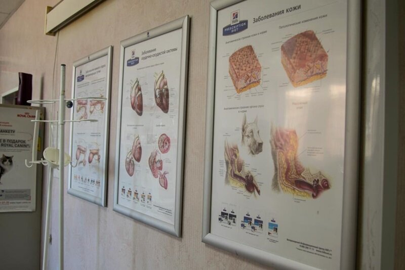 more clinic photos 62452