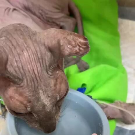 clinic general image