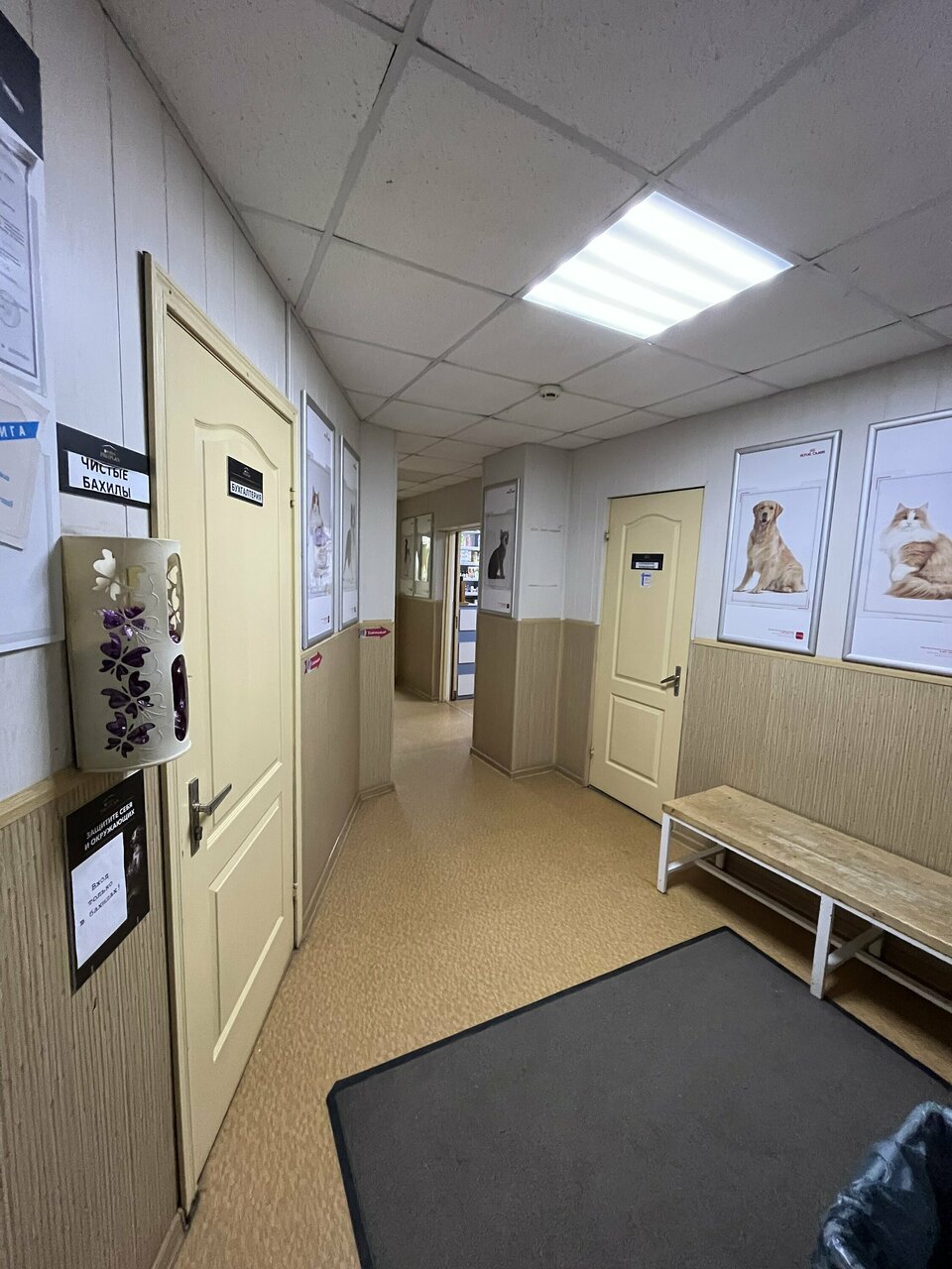 more clinic photos 3910