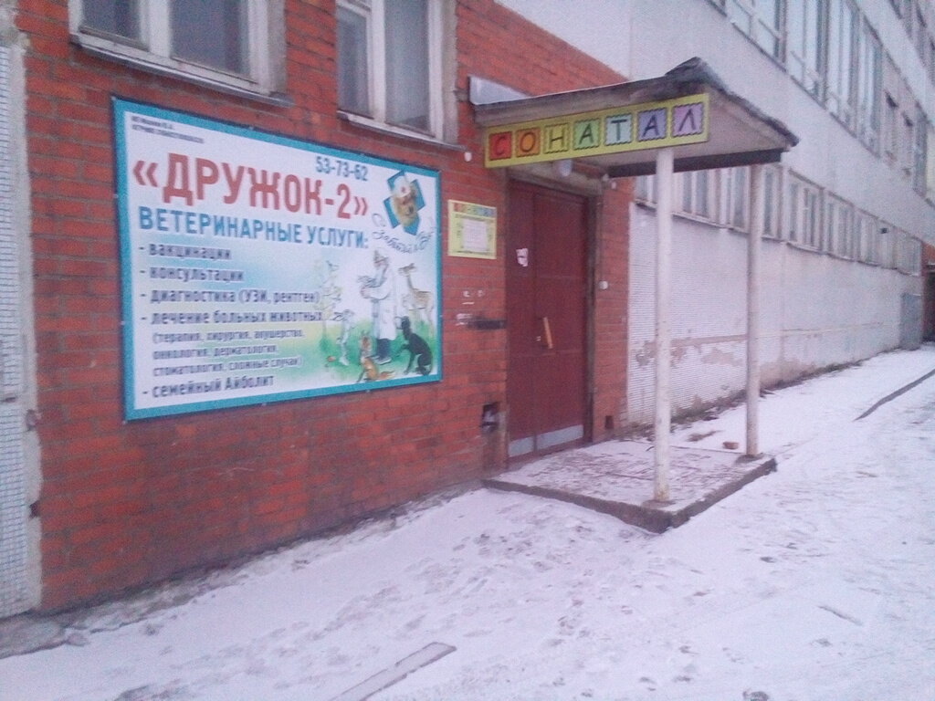 Дружок - 2