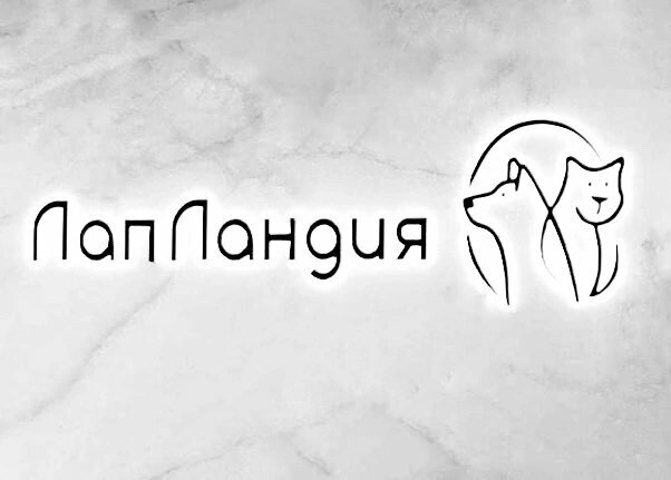 more clinic photos 42853