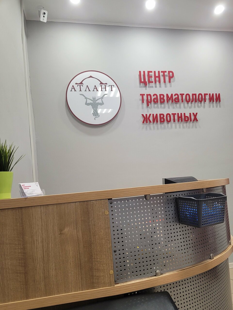 Фото клиники 68264