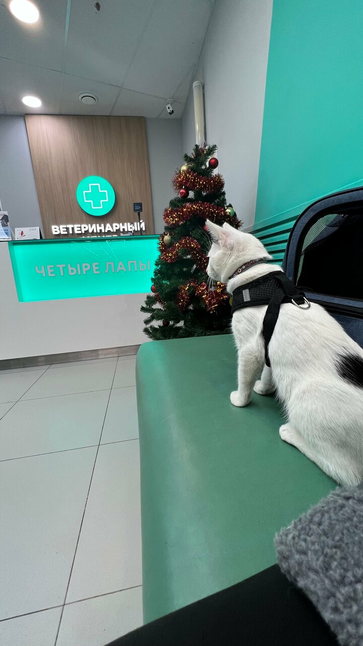 Фото клиники 79493