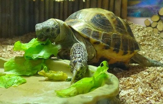 clinic general image